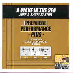 A Wave in the Sea by Jeff and Sheri Easter (101317)