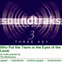 Who Put the Tears in the Eyes of the Lamb by The McKameys (101966)