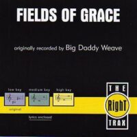 Fields of Grace by Big Daddy Weave (108723)