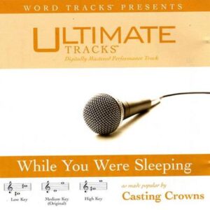 casting crowns while you were sleeping
