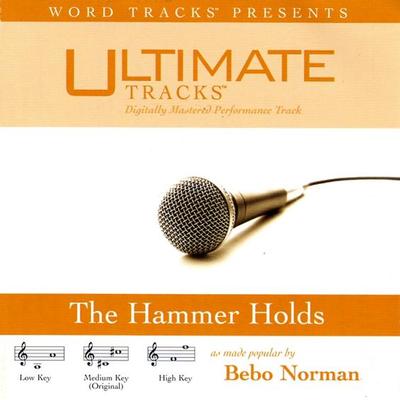 The Hammer Holds by Bebo Norman (117244)