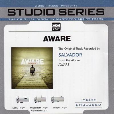 Aware by Salvador (121366)