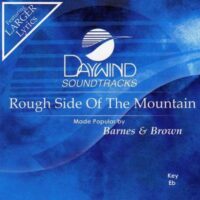 Rough Side of the Mountain by Barnes|Brown (121773)