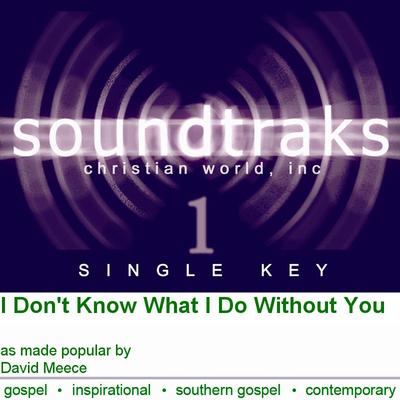 I Don't Know What I Do Without You by David Meece (124645)