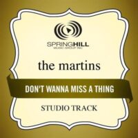Don't Wanna Miss a Thing by The Martins (130783)