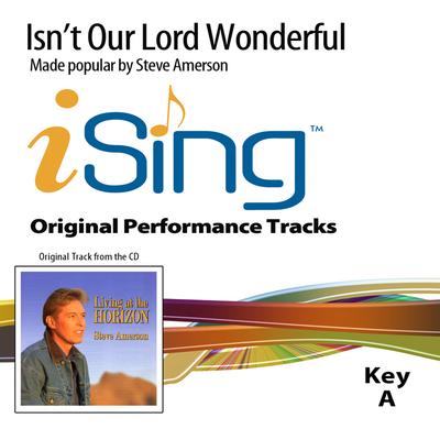 Isn't Our Lord Wonderful by Steve Amerson (132002)