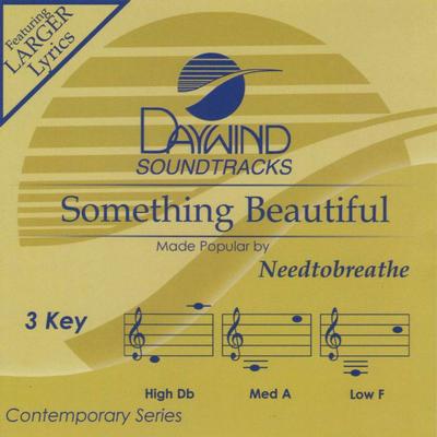 Something Beautiful by Needtobreathe (132266)