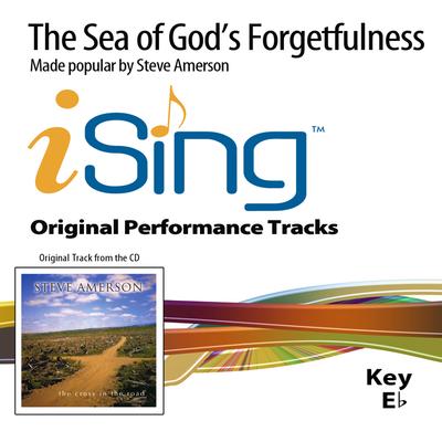 The Sea of God's Forgetfulness by Steve Amerson (132533)