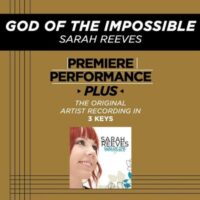 God of the Impossible by Sarah Reeves (132670)