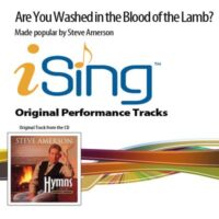 Are You Washed in the Blood of the Lamb by Steve Amerson (133075)