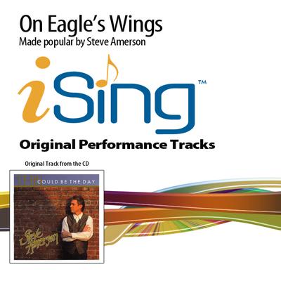 On Eagle's Wings by Steve Amerson (133077)