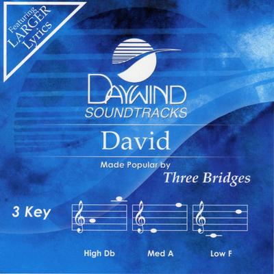 David by Three Bridges (136278)