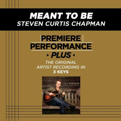 Meant to Be by Steven Curtis Chapman (136822)