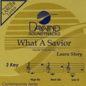 What a Savior by Laura Story (137434)
