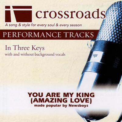 You Are My King (Amazing Love) by Newsboys (138164)