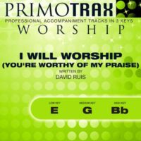 I Will Worship You (You're Worthy of My Praise) by David Ruis (144079)