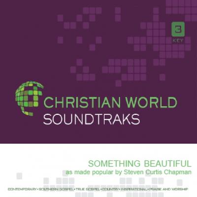 Something Beautiful by Steven Curtis Chapman (144099)