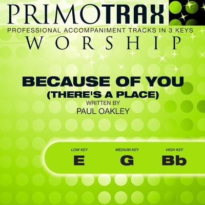 Because of You (There's a Place) by Matt Redman (145670)