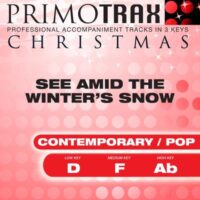 See amid the Winter's Snow (Pop Style) by Primotrax (145850)
