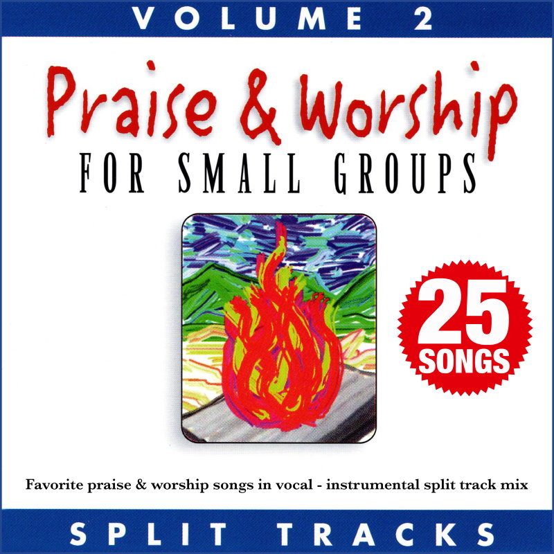 Praise & Worship For Small Groups, Vol. 2 (Split Tracks)