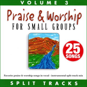 Praise & Worship For Small Groups, Vol. 3 (Split Tracks)