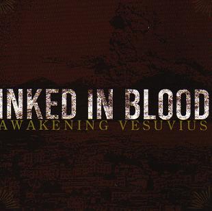 Awakening Vesuvius