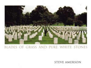 Blades of Grass And Pure White Stones